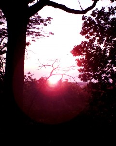 top of sauls mound_sunset